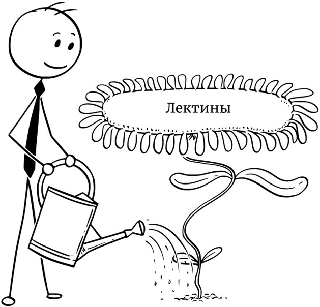 Надпись: